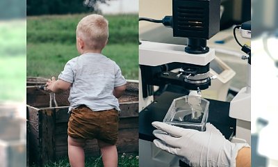 Stworzyli sobie wnuka "na zamówienie". Spermę pobrali od zmarłego syna bez jego zgody