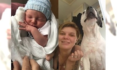 Tata niemowlęcia walczącego o życie po pogryzieniu przez psy, powiedział o czworonogach, że "też są jego dziećmi"...