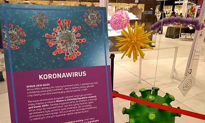 Koronawirus: A co ty wiesz o własnej odporności? Na co trzeba koniecznie zwrócić uwagę?