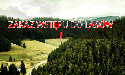 Od 3 kwietnia ZAKAZ WSTĘPU DO LASÓW. Oburzenie w sieci: "A myśliwych wirus nie rusza?!"