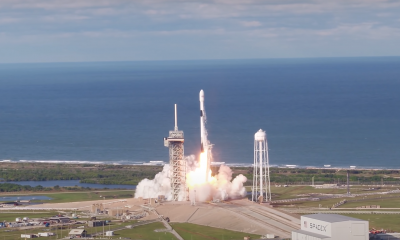 Kiedy i gdzie oglądać start rakiety Falcon-9? Wspólna misja kosmiczna NASA i SpaceX