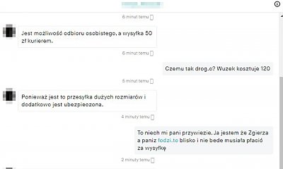 Wiola chciała sprzedać wózek. Jedna matka napisała: "Bogaci nie powinni sprzedawać tylko oddawać za darmo"