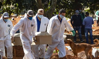 Pandemia: Katowicki sanepid już pyta o miejsca na zbiorowe mogiły. Czeka nas czarny scenariusz?