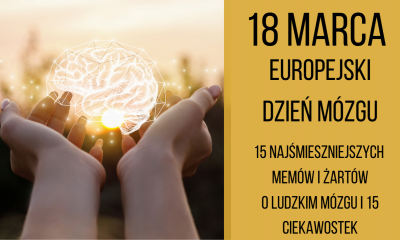 Europejski Dzień Mózgu - 15 ciekawostek o ludzkim mózgu. Memy i żarty