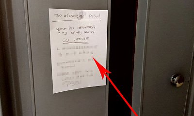 Psy nie powinny jeździć windą, bo śmierdzą?! Takie żądania ma mieszkaniec Łodzi. Absurdalne?