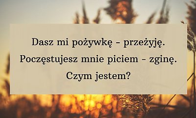 Logiczna zagadka, nad którą głowią się internauci! Mało kto potrafi odgadnąć odpowiedź!