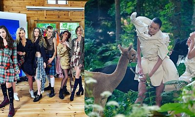 Afera w Top Model! Udział alpak w sesji zdjęciowej był złym pomysłem?