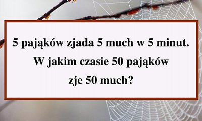 Ta banalna zagadka rozłożyła na łopatki wiele osób! Przekonaj się, czy potrafisz logicznie myśleć!