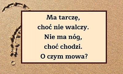 Oto logiczna zagadka, która przetestuje Twoją inteligencję! Podejmiesz wyzwanie?