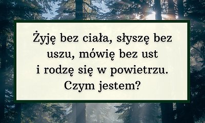 Oto zagadka, dzięki której przekonasz się, czy potrafisz logicznie myśleć! Nie każdemu udało się ją rozwikłać!