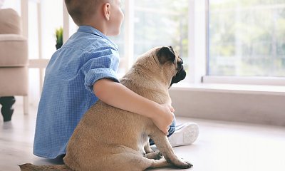 "Moja szwagierka oszalała i kupuje dzieciom pieska pod choinkę! Przecież zwierzę to nie zabawka!"