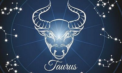 Znak zodiaku Byk - charakterystyka i horoskop dla wszystkich spod znaku Byka!