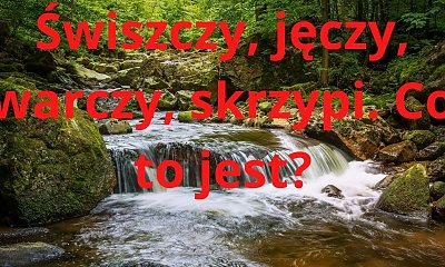 Oto zagadka, którą niewiele osób jest w stanie rozwiązać. Jesteś wybrańcem?