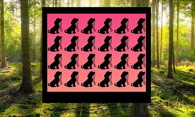 Uważasz się za spostrzegawczego? No to sprawdźmy!