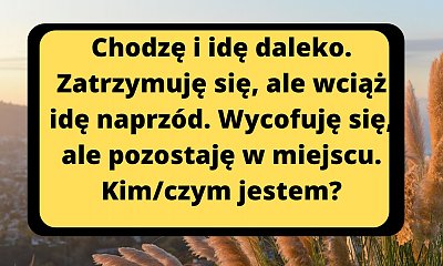 Tę łamigłówkę potrafi rozwikłać tylko 10% rozwiązujących! Należysz do tego grona?