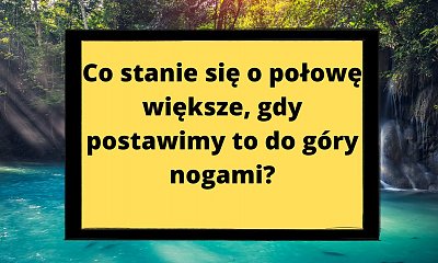 O tę zagadkę kłócą się internauci! Znasz prawidłową odpowiedź?