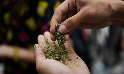 Jak wykorzystać nasiona marihuany w kuchni? Trzy pomysły dla każdego