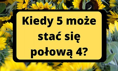Tę zagadkę potrafi rozwikłać 5% osób. Czy jesteś wśród nich?