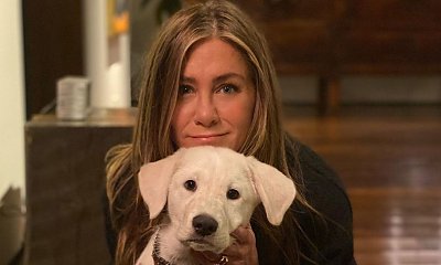 Jennifer Aniston eksponuje zachwycające ciało na plaży! Widać, że skończyła już 53 lata?