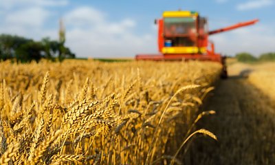 "Rolnicy koszą zboże po nocy i budzą mi dzieci. Czy oni oszaleli? Nie mogą robić tego w dzień?"