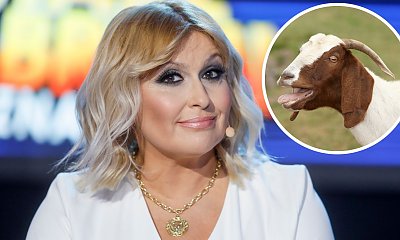 Greckie wakacje Katarzyny Skrzyneckiej. Zaliczyła wpadkę na polu arbuzów. Winę zwaliła na... kozy!