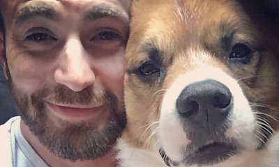 Chris Evans wybrany najseksowniejszym mężczyzną 2022 roku. "Moja mama będzie taka szczęśliwa!"