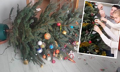 "Mąż źle obsadził choinkę. Bombki za pięć stów poszły... To wszystko wina męża"