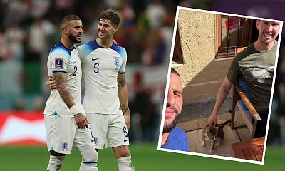 Angielscy piłkarze znaleźli kotka w Katarze... I zachowali się po mistrzowsku!