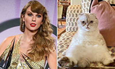 Kot Taylor Swift to jeden z najbogatszych zwierzaków świata. Nie uwierzycie, ile jest wart!