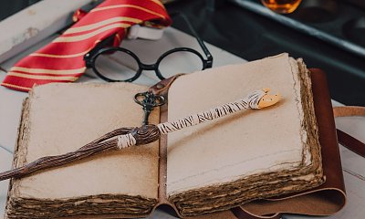 "Magiczna różdżka nie pomogła. Kłótnia o Dziedzictwo Hogwartu prawie zakończyła się tragicznie"