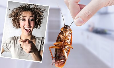 Chcesz nazwać karalucha imieniem swojego byłego? Zaskakujący pomysł ZOO podbija sieć!