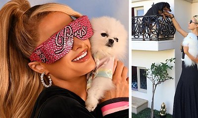 Paris Hilton pokazała swoje kudłate czworonogi. Mają własną willę... To dopiero pieskie życie!