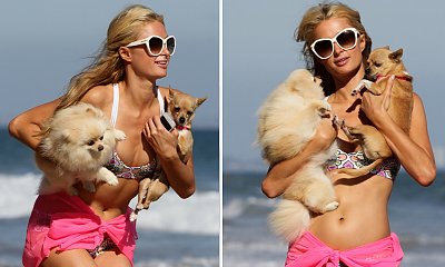 Paris Hilton lekceważy prośby hawajskich władz i wypoczywa na Maui po katastrofalnych pożarach. Kto bogatemu zabroni?