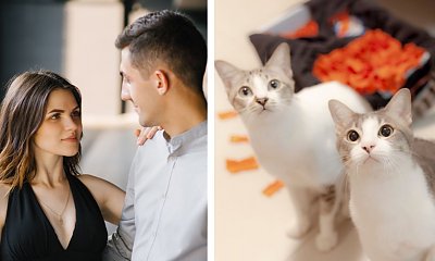 "Mąż namówił mnie na koty. Zostałam z nimi całkiem sama"
