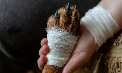 "Chciałam zakończyć męki psa, bo nie stać mnie na jego leczenie. Propozycja weterynarza mnie zszokowała"