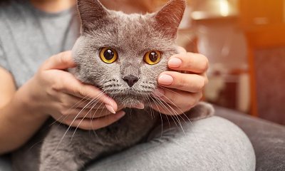 "To musiało być przeznaczenie. Ten przypadek odmienił zupełnie moje życie"