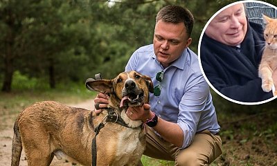 Młody miłośnik psów został skarcony przez starszego kociarza. Padły ostre słowa