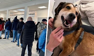 Kraków na ustach całego świata! Dzięki dobrym ludziom, psy będą mieć ciepło w zimie. Pomógł nawet Komendant Straży Miejskiej!