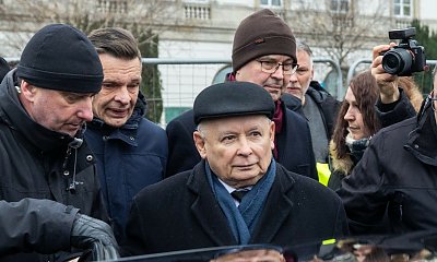 Ekspert ocenił charakter Jarka od kotów. Ta analiza może zaskakiwać