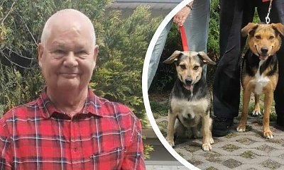 Adam Glapiński z NBP ma złote serce. Przygarnął dwa bezdomne psiaki
