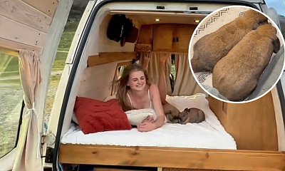 Mieszkają w kamperze z królikami. Codziennie śpią w innym miejscu. Bajkowe życie