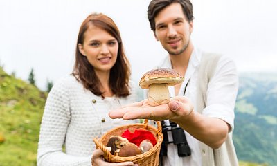 "Codziennie wstaje o 3 i zbiera wszystkie grzyby z lasu. Ja też bym chciała, a nic już nie ma"