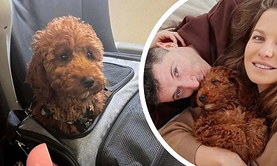 Lewandowscy zabrali swojego rasowego kumpla na wczasy. "Ten pies ma lepiej niż ja" - wytykają użytkownicy
