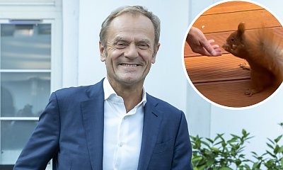 Donek Dolittle karmi wiewiórkę, a fanki pieją z zachwytu. "Zwierzęta czują dobrych ludzi" [wideo]