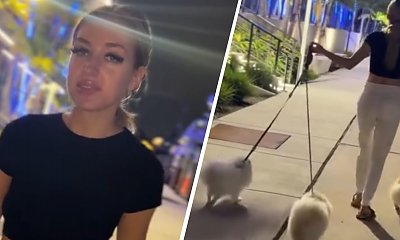 Caroline Derpieński wyprowadza pieski. Wzięła zlecenie, lecz naród dziwi się cenie [wideo]