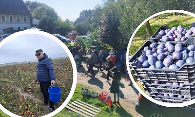Ich plony miały zgnić w polu. Posty pokazały prawdziwą siłę Polaków. "Tyle aut jeszcze tu nie widziałem"