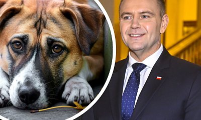 Polacy wściekli na Nawrockiego. Zawetował jedną z najważniejszych ustaw ostatnich lat