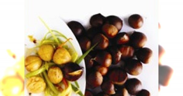 Kasztany naturalne