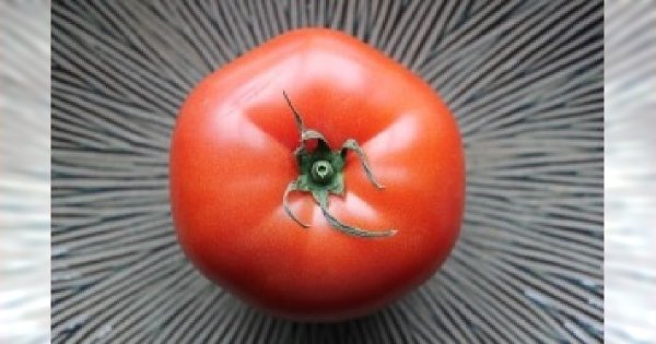 5 składników jedzenia które poprawiają jakość spermy