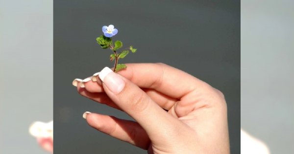 Jak prawidłowo piłować paznokcie?